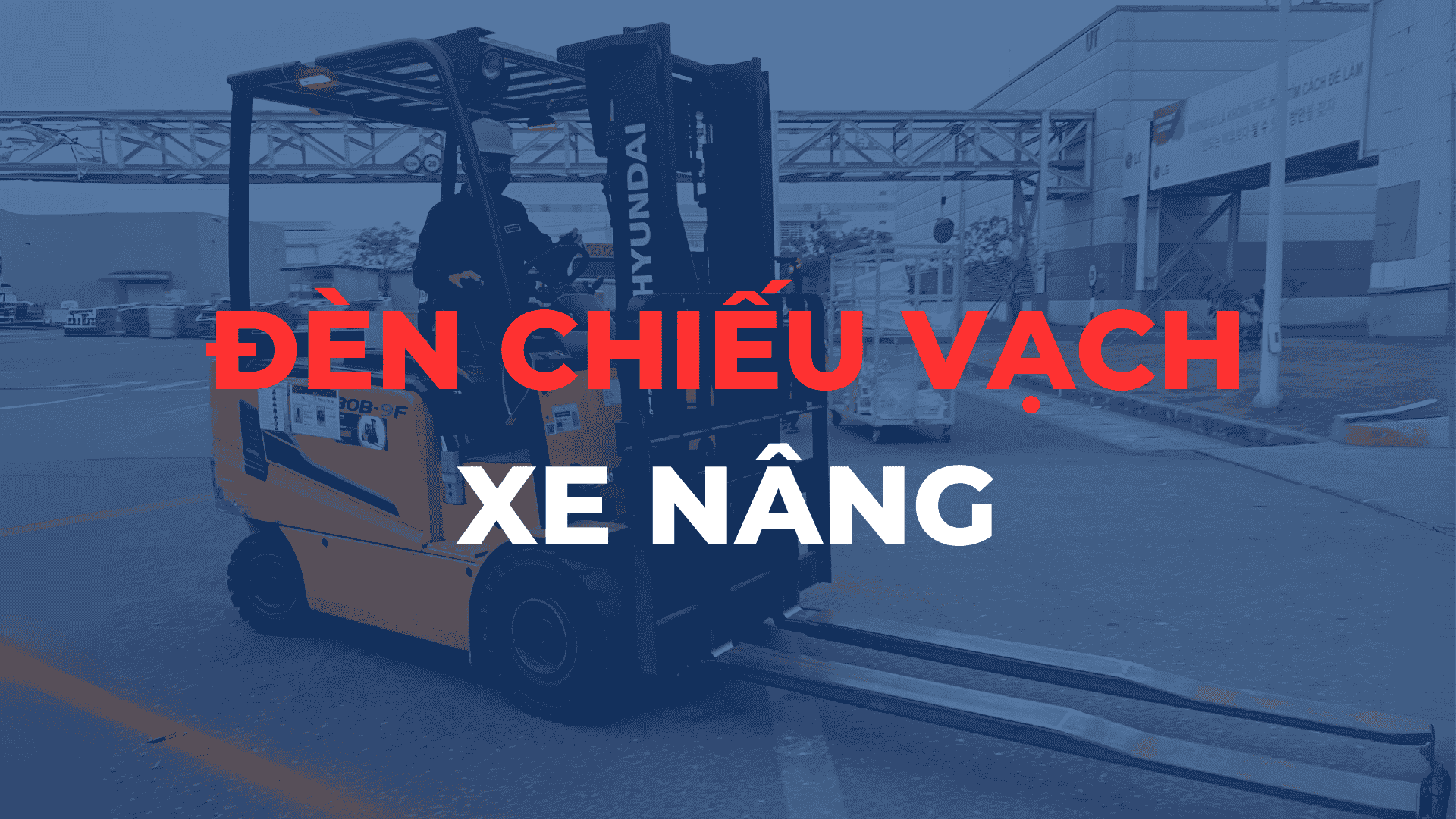 ĐÈN CHIẾU VẠCH XE NÂNG | An Toàn Lao Động Trong Vận Hành Xe Nâng